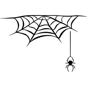 | Örümcek Ağı | Araba Laptop Duvar Folyo Sticker 5 x 3 cm