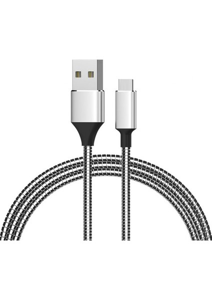 3799 Type-C Metal Şarj ve Data Kablosu 1mt 2.1A