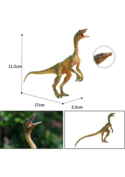 Jurassic Simülasyon Hayvan Çene Ejderha Modeli Oyuncak (Yurt Dışından)