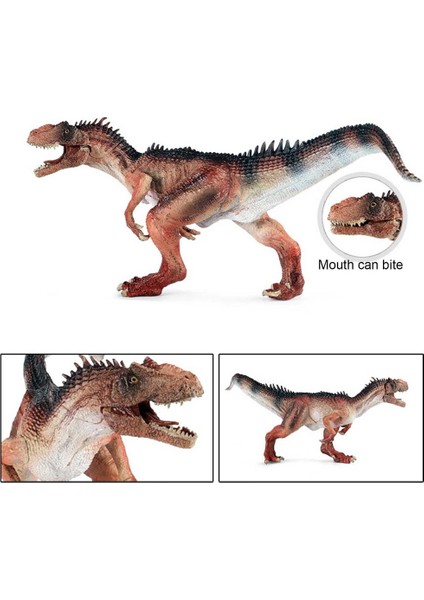 Jurassic Simülasyon Allosaurus Çocuk Oyuncağı Hediye (Yurt Dışından)