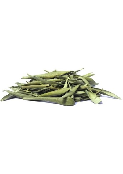 Zeytin Yaprağı 500 gr