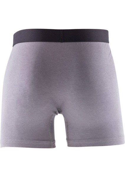 Bambu / Lycra Erkek Gri Boxer Rdz 7100169