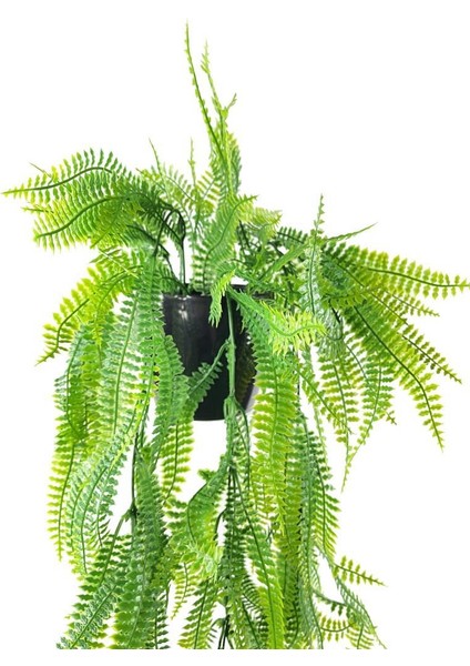 Yapay Çiçek Siyah Saksıda Sarkan Çiçek Boston Fern