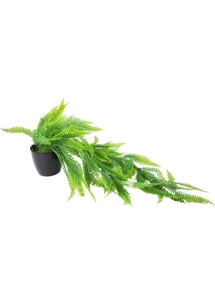 Yapay Çiçek Siyah Saksıda Sarkan Çiçek Boston Fern