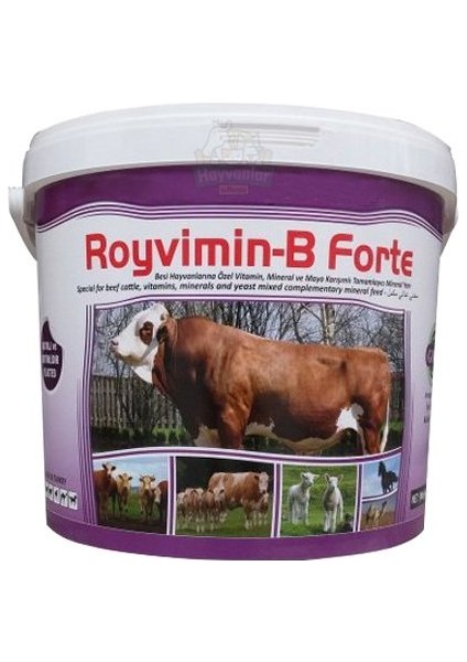 Royal Royvimin B Forte Toz Besi Hayvanı Yem Katkısı 25 Kg
