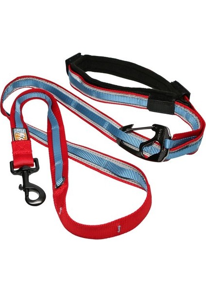 Pet Safe Petsafe Kurgo Quantum 6’sı Birarada Tasma Kayışı Kırmızı/mavi K01132