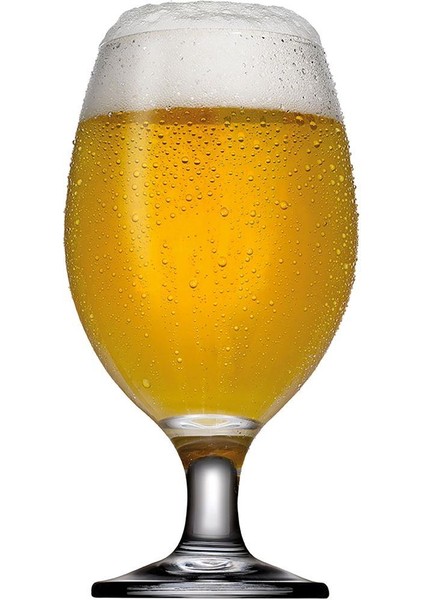 Bıstro Bira Bardağı 12 Adet