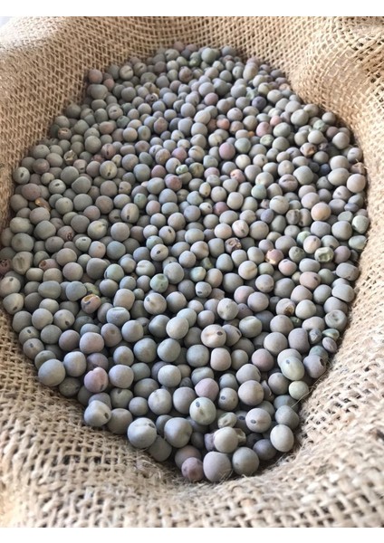 Yem Bezelyesi Taşkent 10 kg