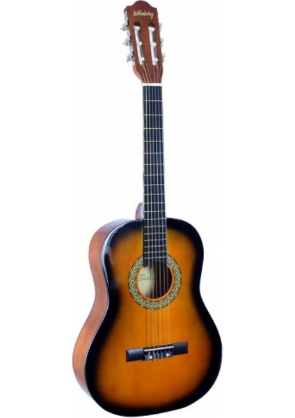 CG836 Sb Klasik Gitar (Taşıma Çantası )