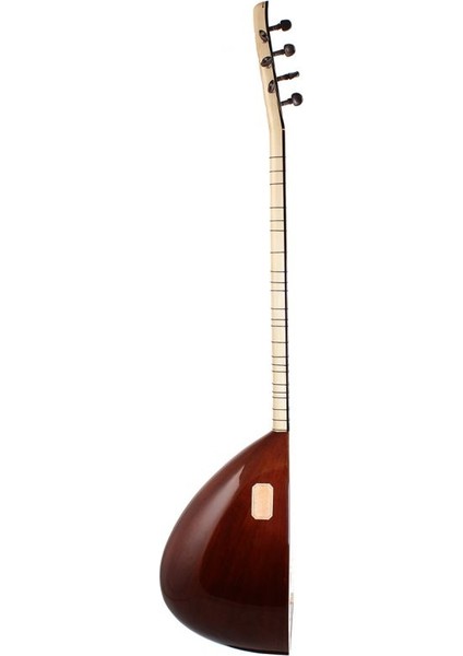 Pasub Profesyonel Ardıç Uzun Sap Bağlama