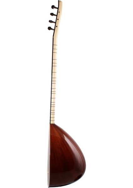 Pasub Profesyonel Ardıç Uzun Sap Bağlama
