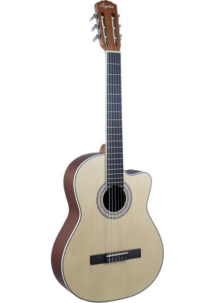 HG400 Cn Klasik Gitar (Taşıma Çantası )