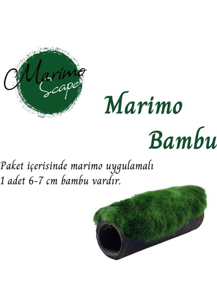 Marimo Bambu