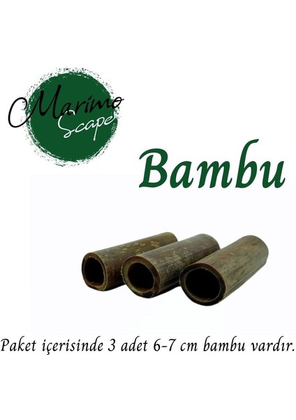 Bambu