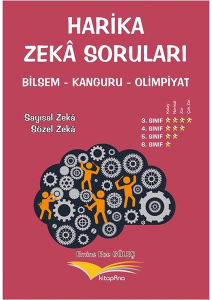 Harika Zeka Soruları Bilsem-Kanguru-Olimpiyat
