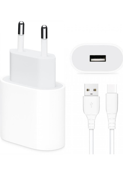 Ka 19T 15W Hızlı Şarj Adaptörü + Type C USB Kablo
