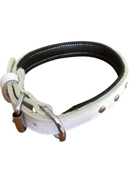 Deri Köpek Tasması Beyaz 56CM En:2cm