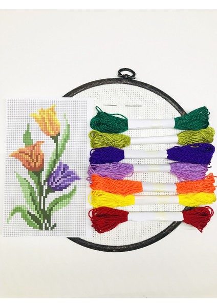 Idilhobimarket Kanaviçe Etamin Kiti Nakış Seti 006
