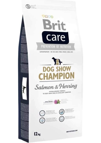 Champion Somonlu Yetişkin Köpek Maması 12 kg