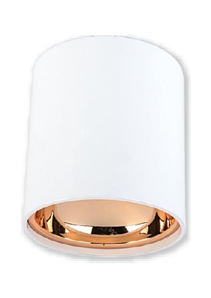 CT-5421BR Foça Sıva Üstü Armatür Gu-10 Beyaz+Rose