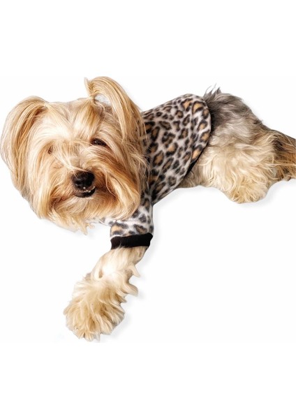 Leopar Softie Sweat Köpek Kıyafeti