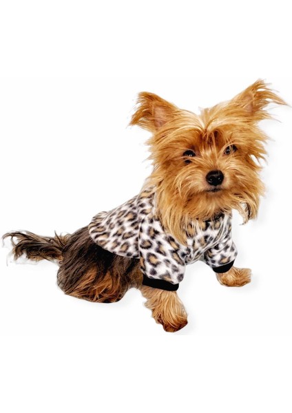 Leopar Softie Sweat Köpek Kıyafeti