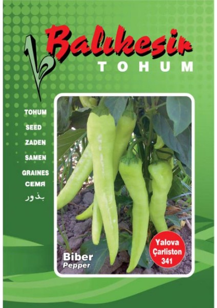 Balıkesir Tohum Biber Yalova Çarliston 341 (10 Gr.)