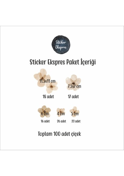 Sticker Ekspres Açık Kahverengi Çiçekler Çiçek Duvar Sticker Seti