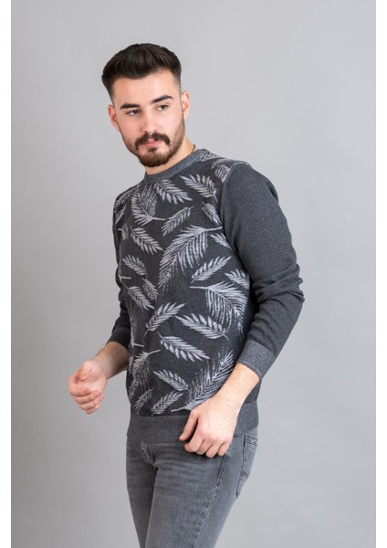 Regular Fit Desenli Erkek Triko Kazak