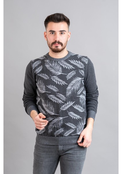 Regular Fit Desenli Erkek Triko Kazak fiyatları