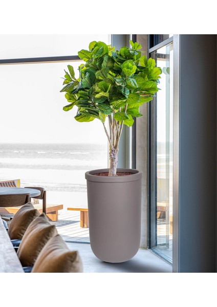 Laurel Serisi Antrasit Saksı
