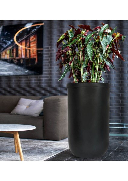 Laurel Serisi Siyah Saksı