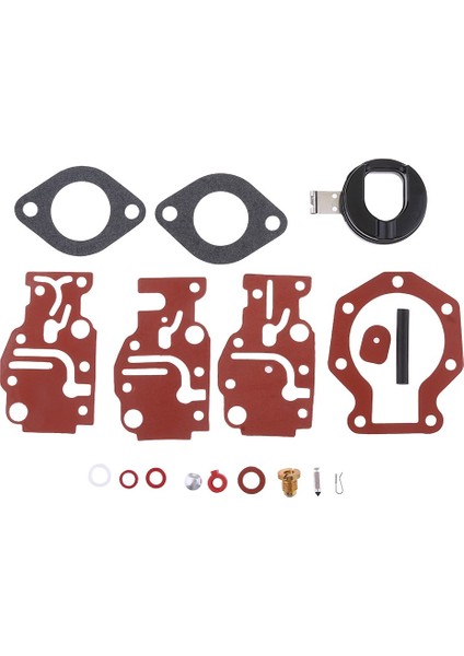 Johnson / Evinrude 439073 Karbüratör Inceleme Kiti (Yurt Dışından)