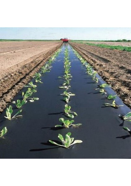 Mulch Naylonu 50 cm x 1000 M 20 Micron Siyah Taban Örtüsü Sebze Naylonu Uv'li