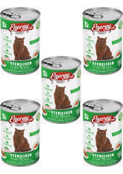 Cat Food Somonlu Kısırlaştırılmış Islak Kedi Maması 5'li – 400 gr