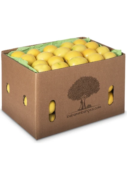 Babamın Bahçesi Limon Mayer 6 kg