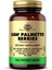 Saw Palmetto Berries 1