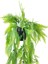 Yapay Çiçek Siyah Saksıda Sarkan Çiçek Boston Fern 4