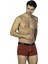 D'S Damat Boxer 3