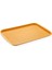Abs Servis Tepsi 37 x 53 cm 1