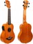 Akce-23 Concert Elektro Ukulele 1