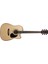 AD880CENS Akustik Gitar 1