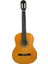 CG851 Yw Klasik Gitar (Taşıma Çantası ) 2