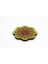 Eminhome Mandala Desenli Bardak Altlığı 5