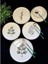 Green Life Bone Chine 24 Parça Yemek Takımı Dsn 022 1
