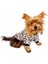 Leopar Softie Sweat Köpek Kıyafeti 1