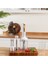 Powerpack Midi Beyaz 4'lü Blender Set 2