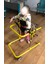 Yürüme Yardımcısı ( Gait Trainer) 3