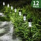 Gıgalumı Güneş Işıkları Bahçe Aydınlatma LED 12 Adet