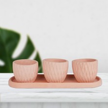 Echo Pot Eti Serisi Guguk Kiremit Rengi 3 Lü Saksı Seti